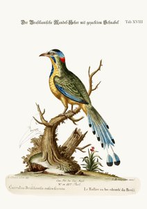 الأسطوانة البرازيلية المنشورة ، 1749-1773